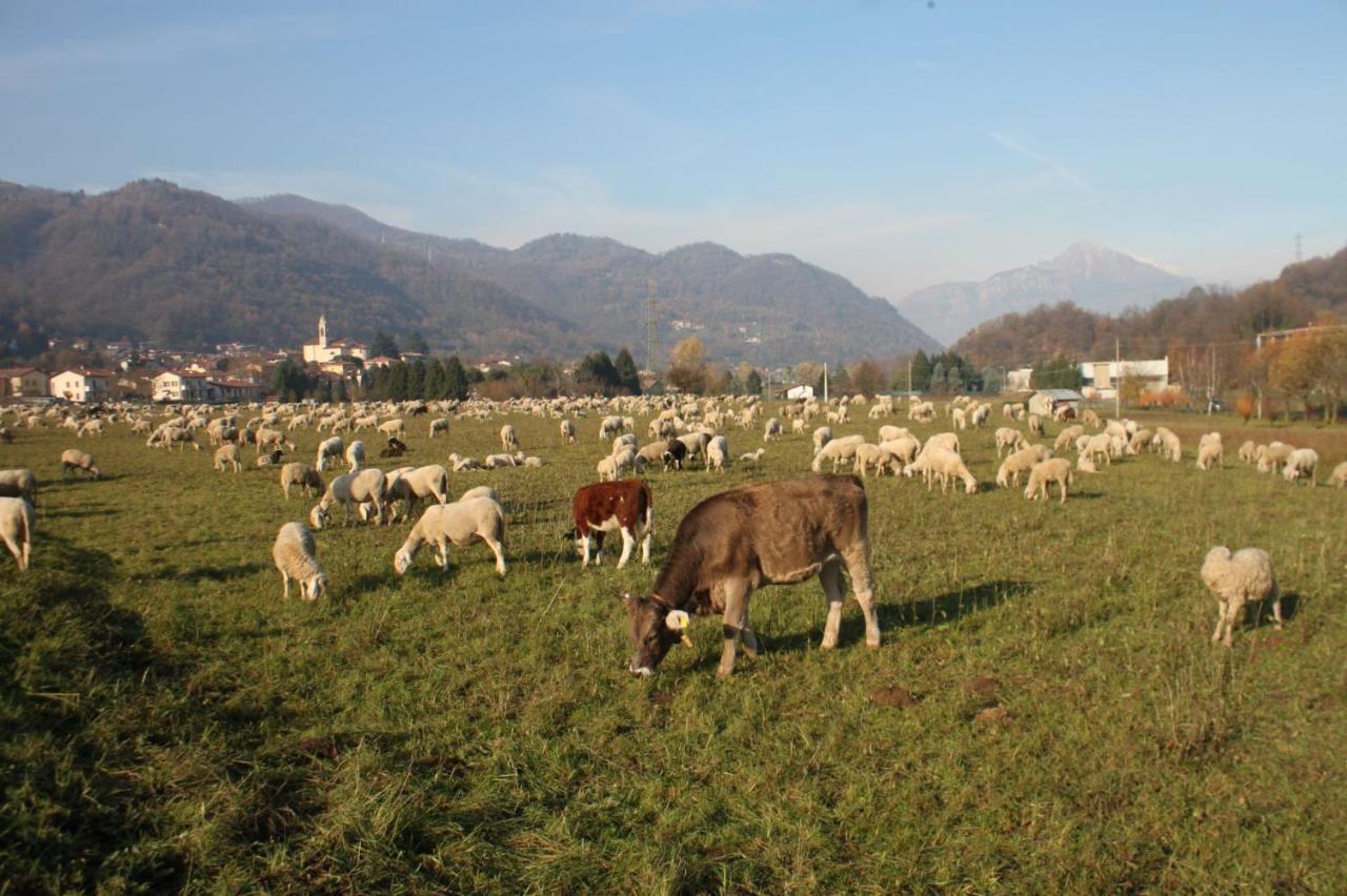 Amata Valgre Affittacamere, Comfort E Pulizia Eccezionali!! Olginate Exterior foto