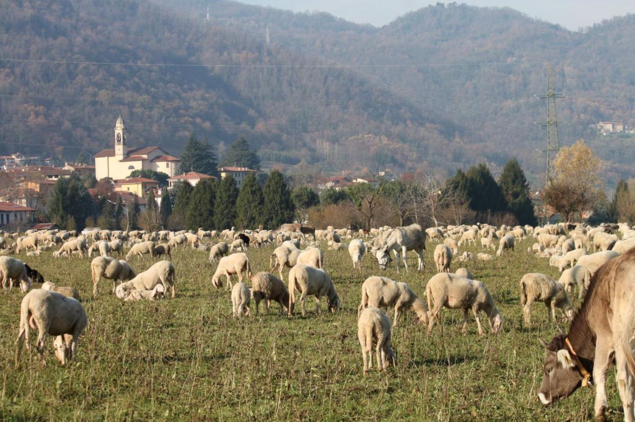 Amata Valgre Affittacamere, Comfort E Pulizia Eccezionali!! Olginate Exterior foto